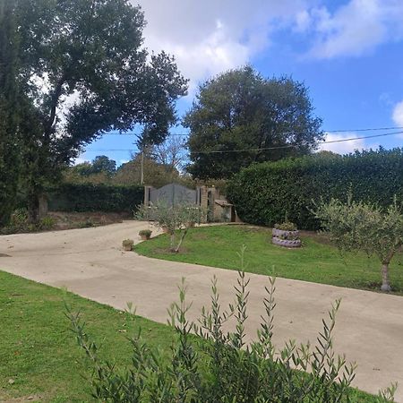 Tenuta Quadrone Cura di Vetralla Екстериор снимка