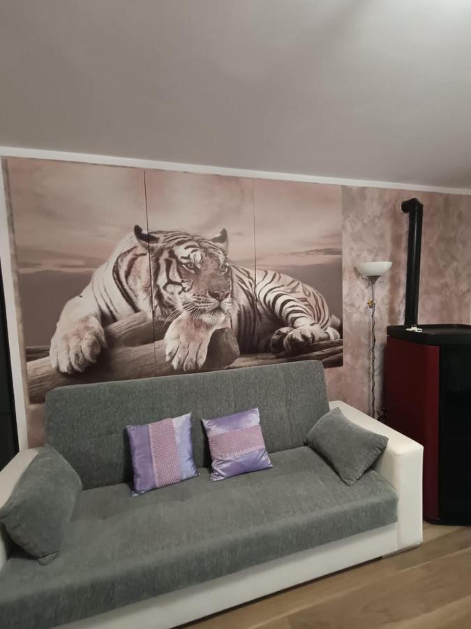 Tenuta Quadrone Cura di Vetralla Екстериор снимка